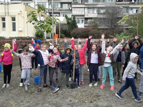 Ученици засяха шест широколистни дървета в училищния двор