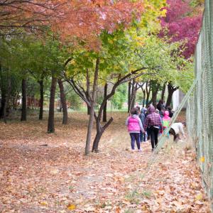 Материална база