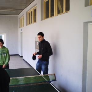 Тенис на маса