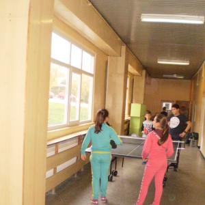 Тенис на маса