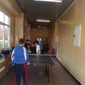 Тенис на маса