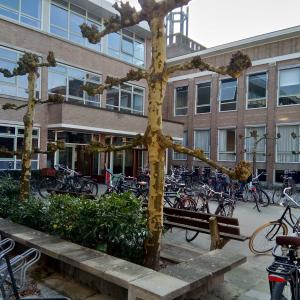 iРаботен обмен Холандия