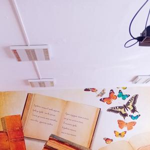 В очакване на първия учебен ден