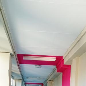 В очакване на първия учебен ден