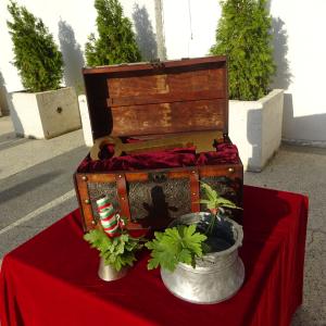 В очакване на първия учебен ден