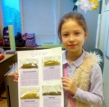 CLIL   Билки  III "в" клас 