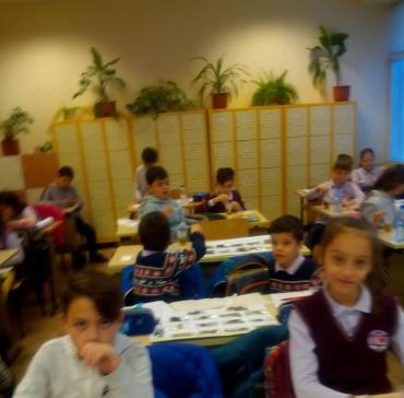CLIL   Билки  III "в" клас 