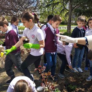 Ден на земята 2021