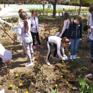 Ден на земята 2021