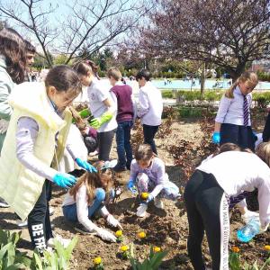 Ден на земята 2021