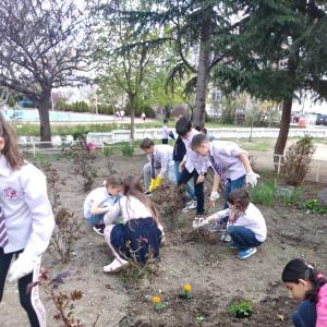 Ден на земята 2021