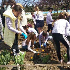 Ден на земята 2021