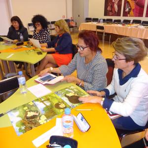   СУ „Гео  Милев“ 