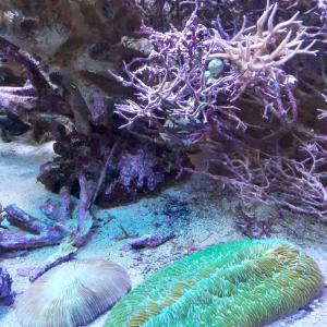 Научен център AHHAA-Тарту 