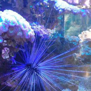 Научен център AHHAA -Тарту