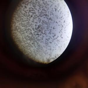 Научен център AHHAA -Тарту