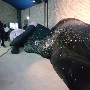 Музея на Фелини