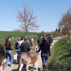 Полша- образователен обмен 