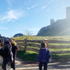 Образователен обмен в Полша