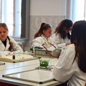 Образователен обмен в  гр. Csongrád-  Унгария