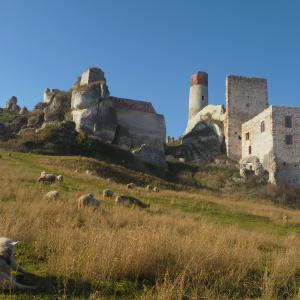 Образователен обмен в Полша