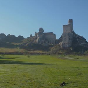 Образователен обмен в Полша