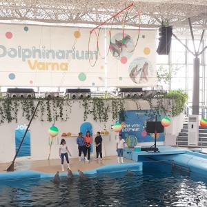 Образователен обмен във Варна