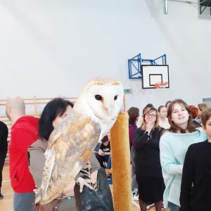 Образователен обмен в Лодз, Полша