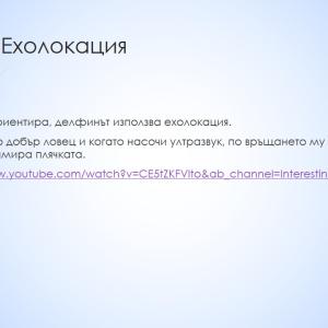 Образователен обмен във Варна