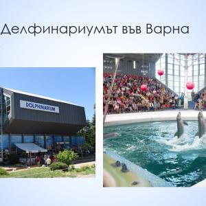 Образователен обмен във Варна