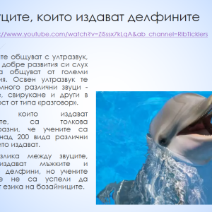 Образователен обмен във Варна