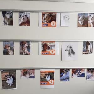 Кауза &amp;quot;Доброто в действие&amp;quot;