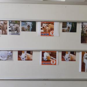 Кауза &amp;quot;Доброто в действие&amp;quot;