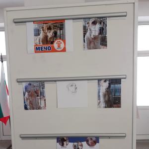 Кауза &amp;quot;Доброто в действие&amp;quot;