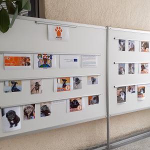 Кауза &amp;quot;Доброто в действие&amp;quot;