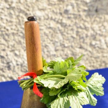 Първият учебен ден в снимки