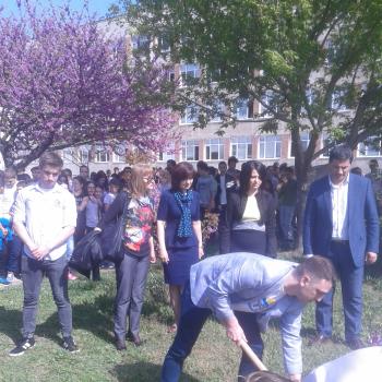 Алея  на младежките столици