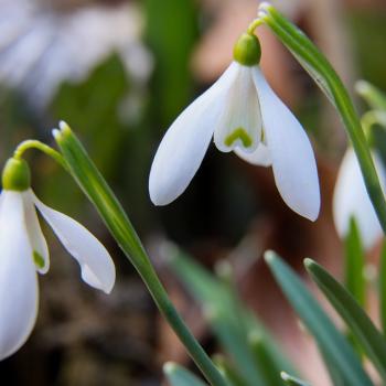 Сръчни ръчички за мартенички