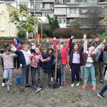 Ученици засяха шест широколистни дървета в училищния двор