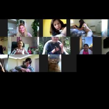 Домашни любимци онлайн