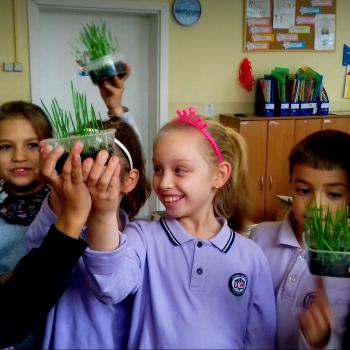 Приключенията на едно житно зрънце