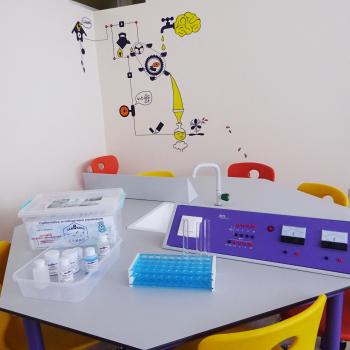 Участие в  международен образователен онлайн форум