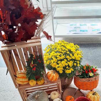 Есен в училище